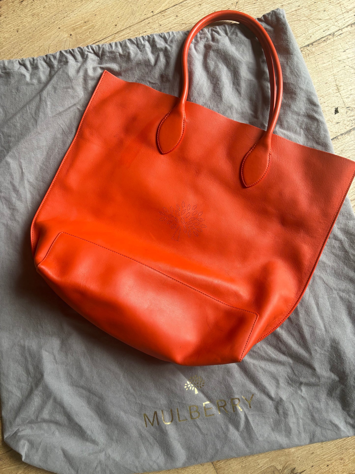 Mulberry Orange Bloom Tote