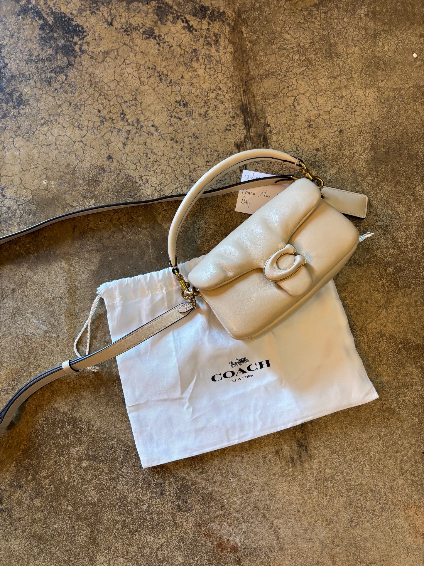 Coach Mini Pillow Bag