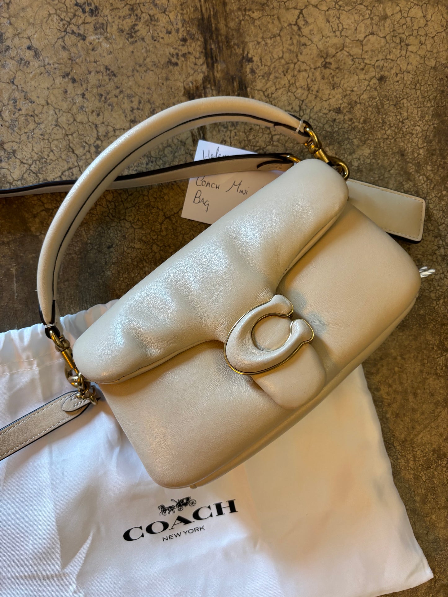 Coach Mini Pillow Bag