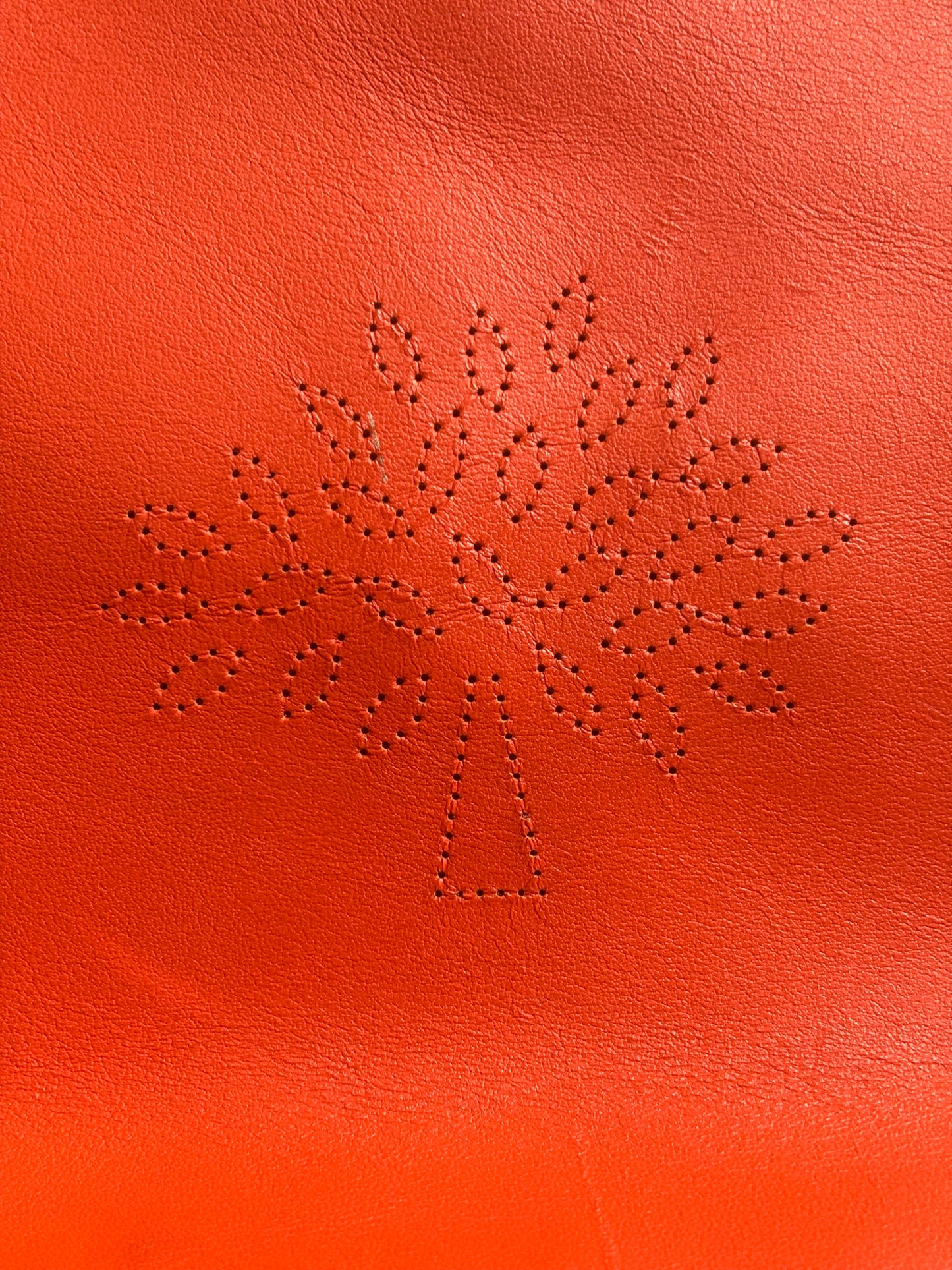Mulberry Orange Bloom Tote