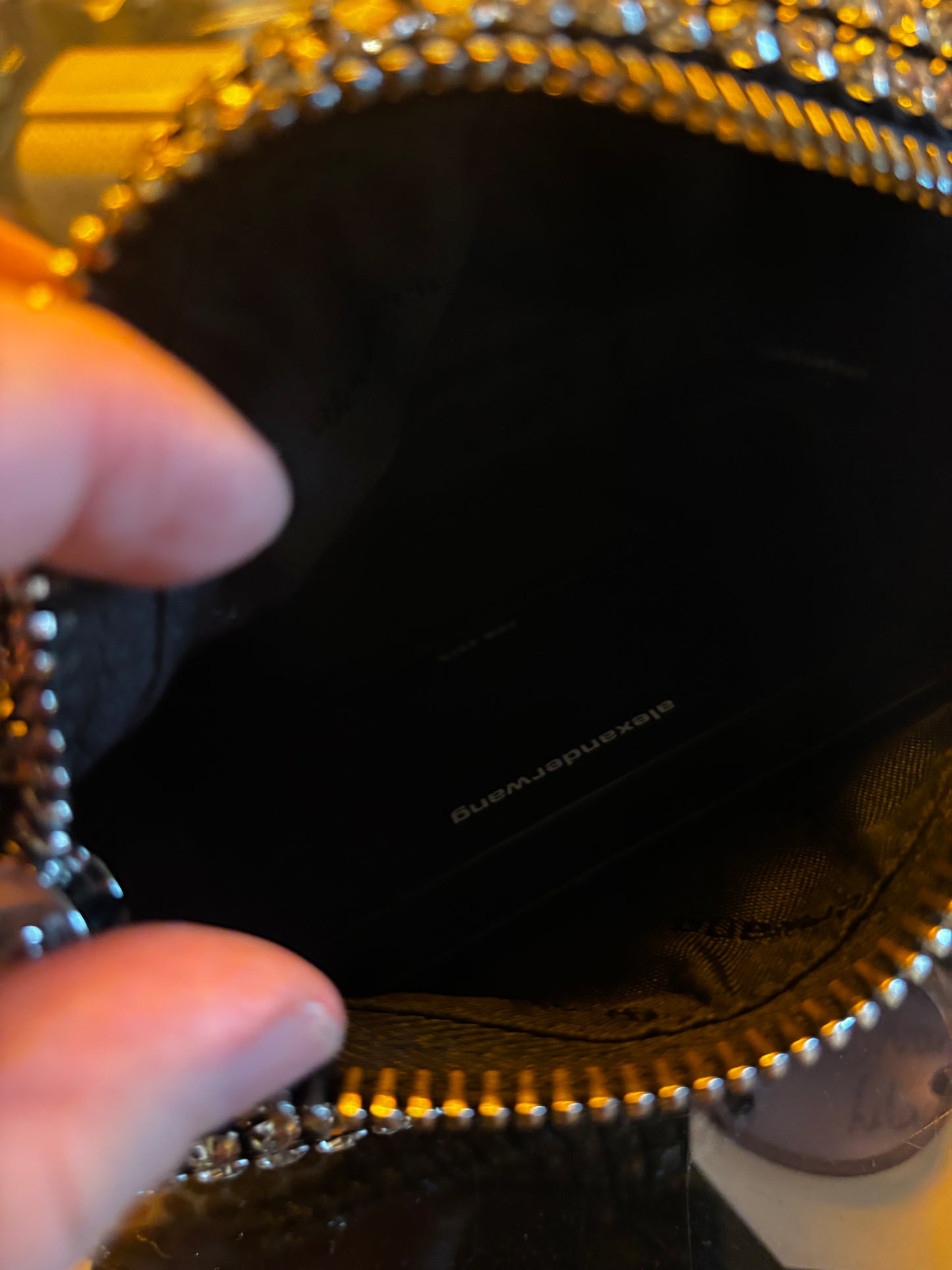 Alexander Wang Heiress Crystal Bag