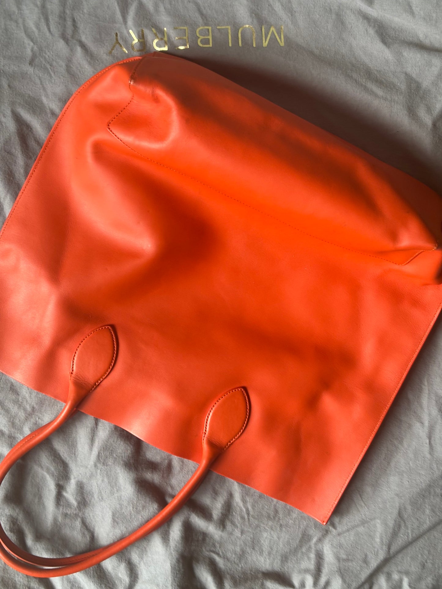 Mulberry Orange Bloom Tote