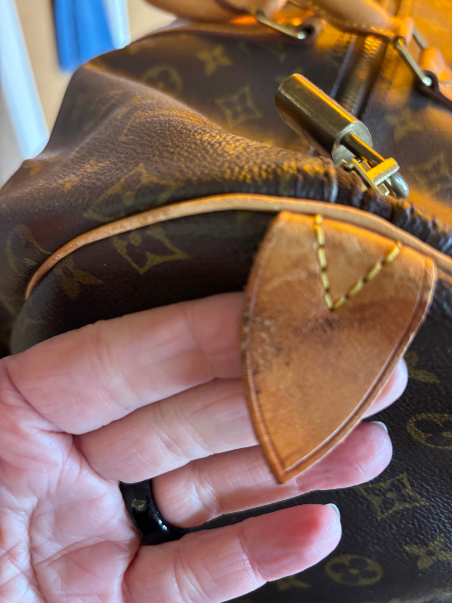 Louis Vuitton Speedy 55 Travel Bag
