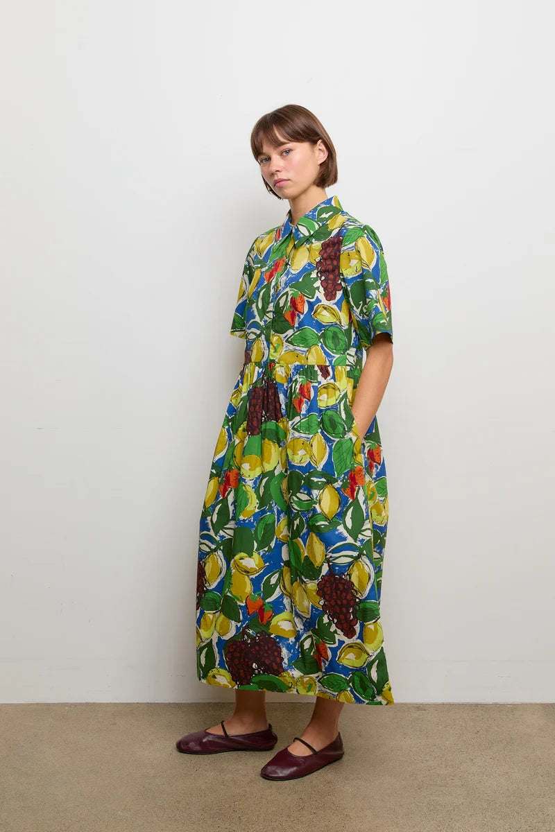 Toast Selma Fruit Dress - current season