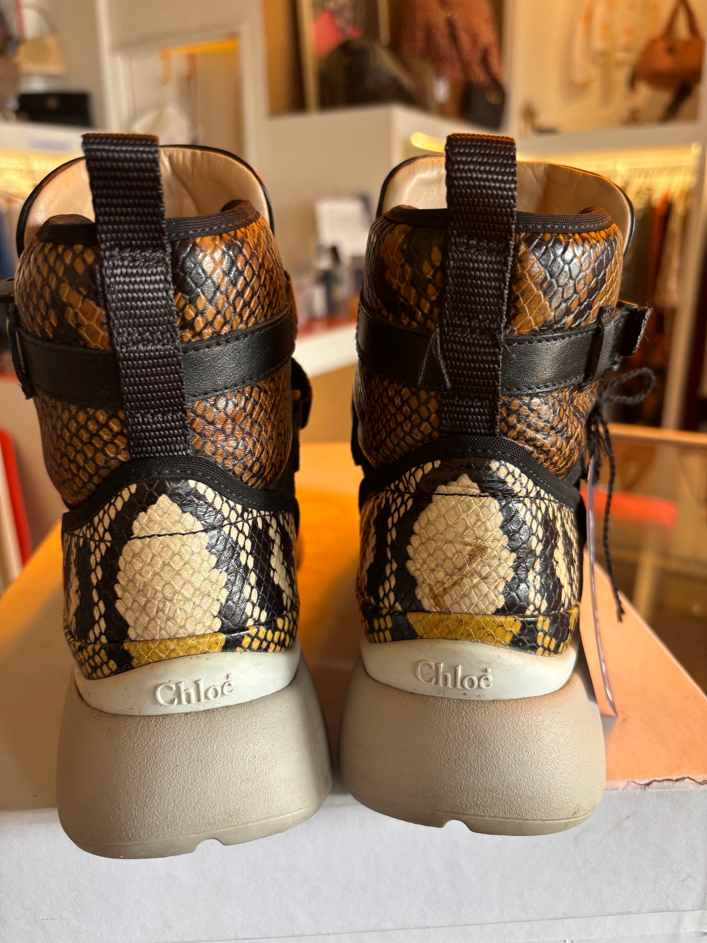 Chloe Snakeskin Hi Tops