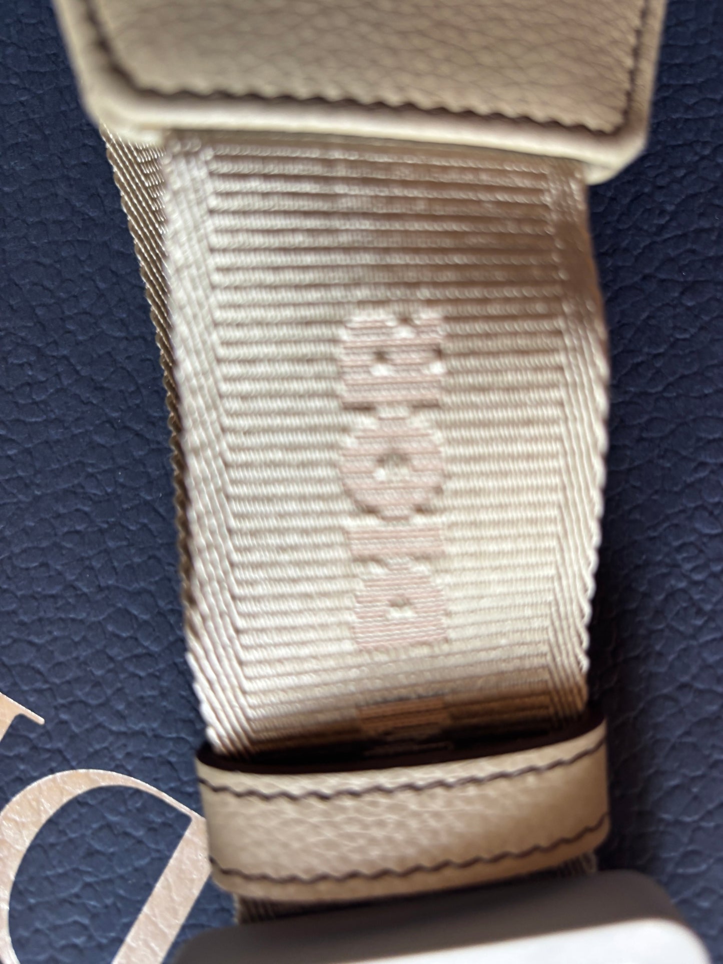 Dior Saddle Bag