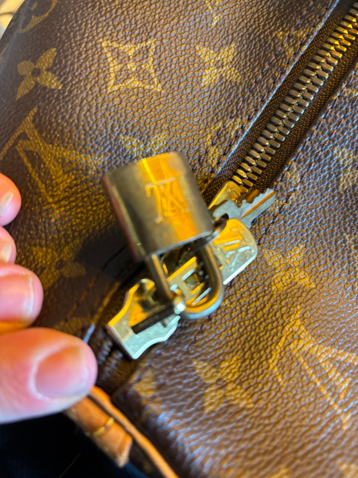 Louis Vuitton Speedy 55 Travel Bag