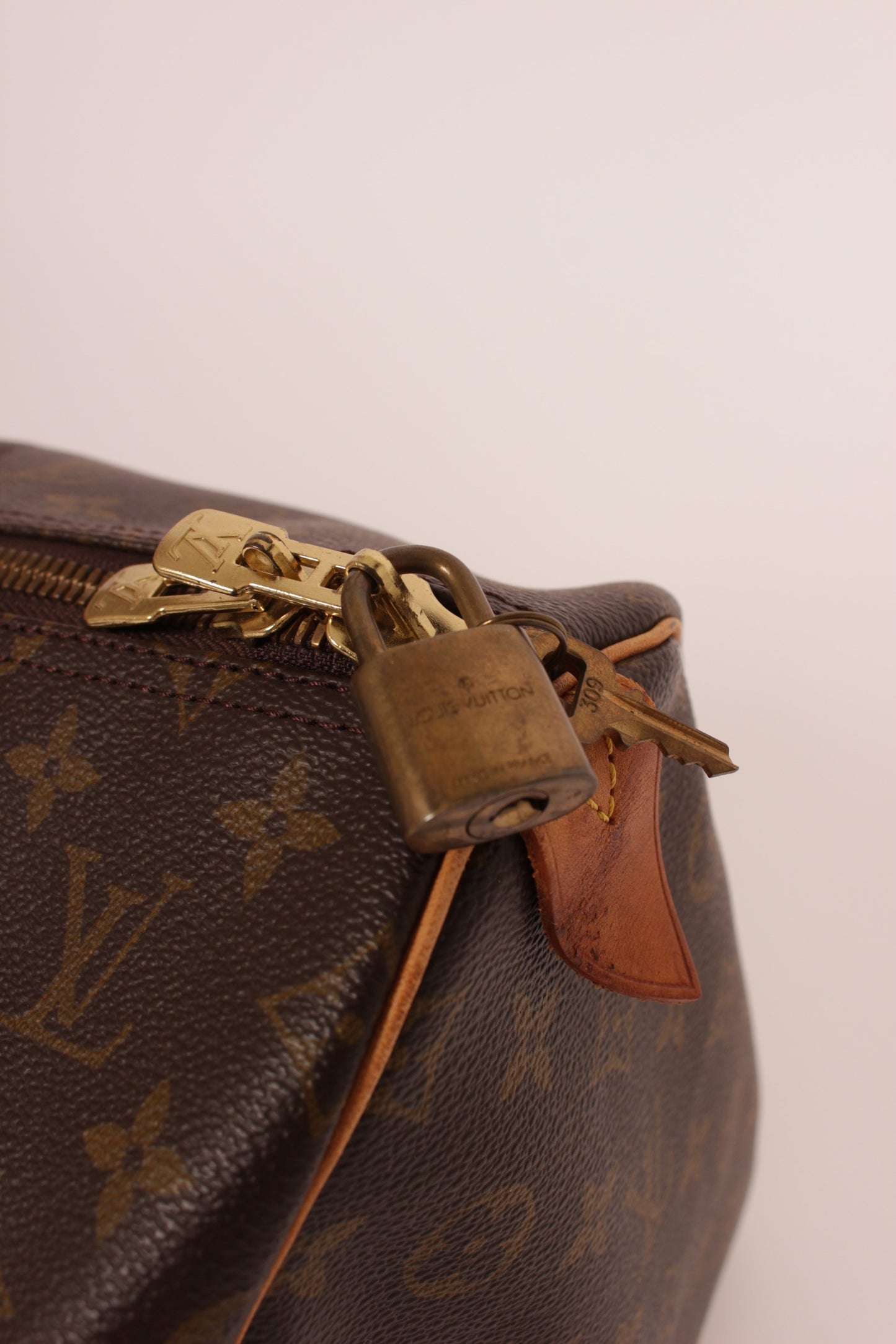 Louis Vuitton Speedy 55 Travel Bag