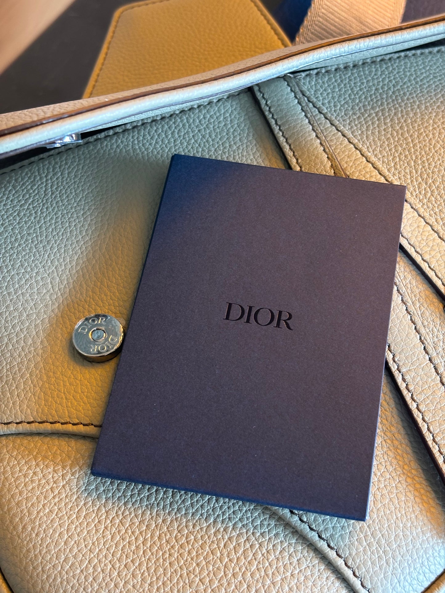 Dior Saddle Bag