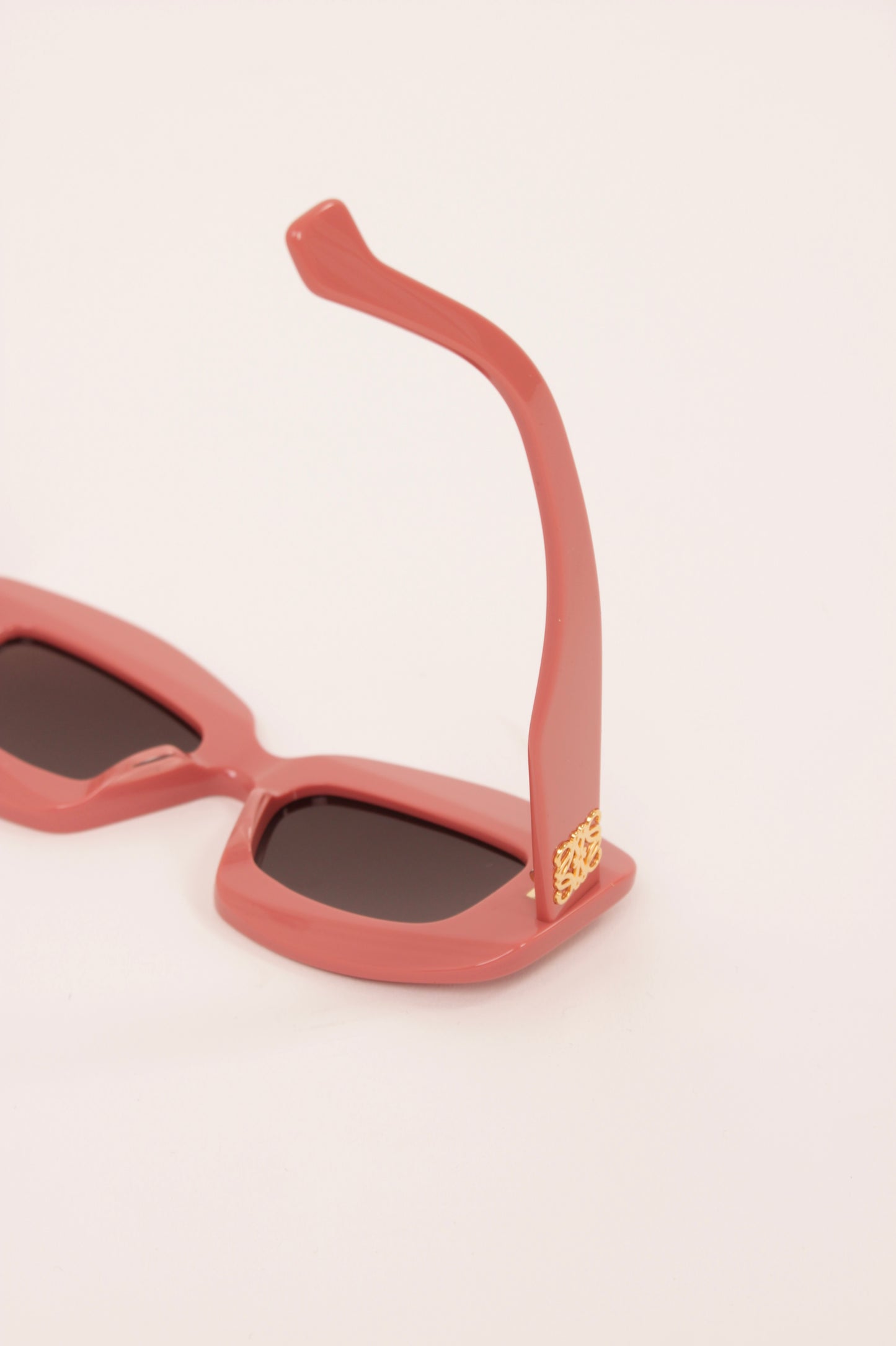 Loewe Screen Acetate Sunglasses