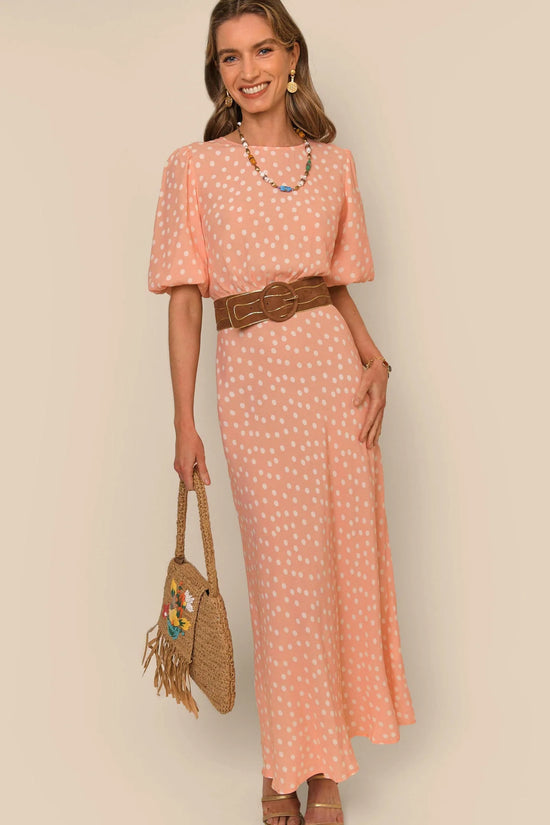 Rixo Flavia Midi Dress - nwt